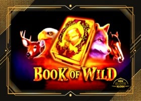 Book of Wild Slot Logo