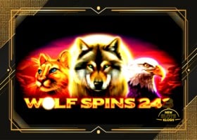 Wolf Spins 243 Slot Logo