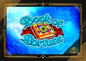 Book Of Fortune Slot Logo