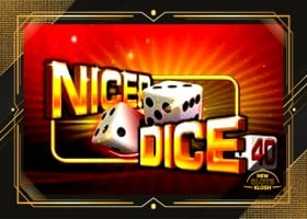 Nicer Dice 40 Slot Logo