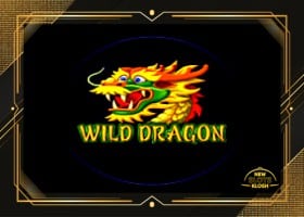 Wild Dragon Slot Logo