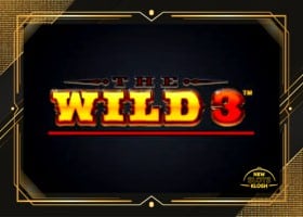 The Wild 3 Slot Logo