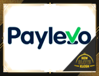 Paylevo Logo