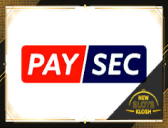 PaySec Logo